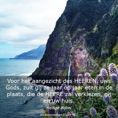 Picture 03 - Deuteronomium 15:20 NLD - Voor het aangezicht des HEEREN, uws Gods, zult - Bible Verse Picture