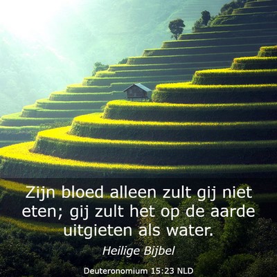 Picture 03 - Deuteronomium 15:23 NLD - Zijn bloed alleen zult gij niet eten; gij zult - Bible Verse Picture