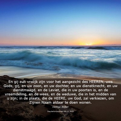 Picture 03 - Deuteronomium 16:11 NLD - En gij zult vrolijk zijn voor het aangezicht des - Bible Verse Picture