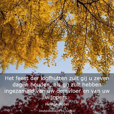 Picture 03 - Deuteronomium 16:13 NLD - Het feest der loofhutten zult gij u zeven dagen - Bible Verse Picture
