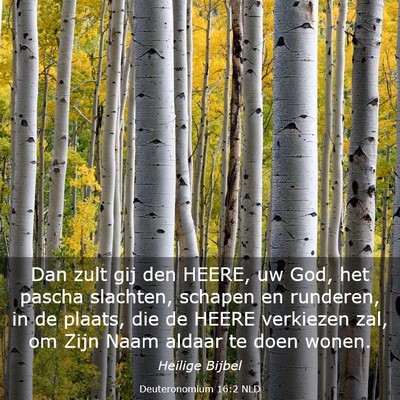 Picture 03 - Deuteronomium 16:2 NLD - Dan zult gij den HEERE, uw God, het pascha - Bible Verse Picture