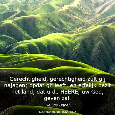 Picture 03 - Deuteronomium 16:20 NLD - Gerechtigheid, gerechtigheid zult gij najagen; - Bible Verse Picture