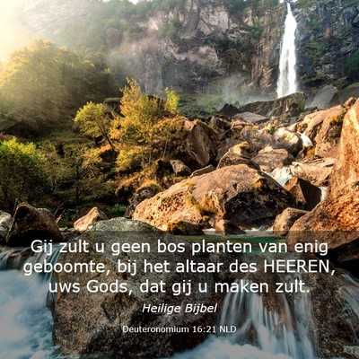 Picture 03 - Deuteronomium 16:21 NLD - Gij zult u geen bos planten van enig geboomte, - Bible Verse Picture