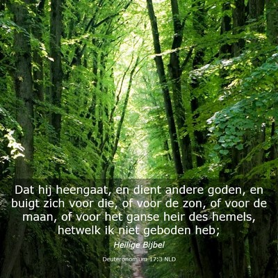 Picture 03 - Deuteronomium 17:3 NLD - Dat hij heengaat, en dient andere goden, en buigt - Bible Verse Picture
