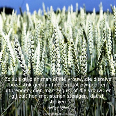 Picture 03 - Deuteronomium 17:5 NLD - Zo zult gij dien man of die vrouw, die ditzelve - Bible Verse Picture