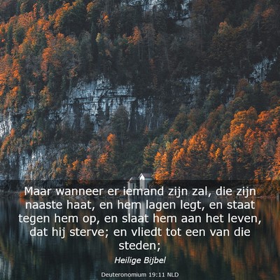 Picture 03 - Deuteronomium 19:11 NLD - Maar wanneer er iemand zijn zal, die zijn naaste - Bible Verse Picture
