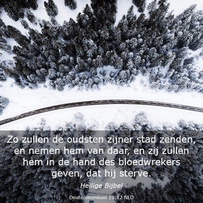 Picture 03 - Deuteronomium 19:12 NLD - Zo zullen de oudsten zijner stad zenden, en nemen - Bible Verse Picture