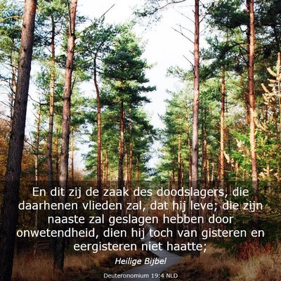 Picture 03 - Deuteronomium 19:4 NLD - En dit zij de zaak des doodslagers, die daarhenen - Bible Verse Picture