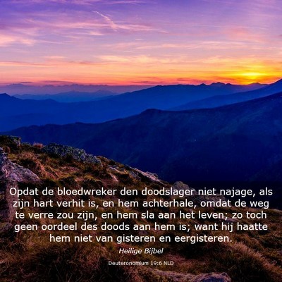 Picture 03 - Deuteronomium 19:6 NLD - Opdat de bloedwreker den doodslager niet najage, - Bible Verse Picture