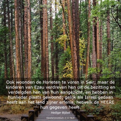 Picture 03 - Deuteronomium 2:12 NLD - Ook woonden de Horieten te voren in Seir; maar de - Bible Verse Picture