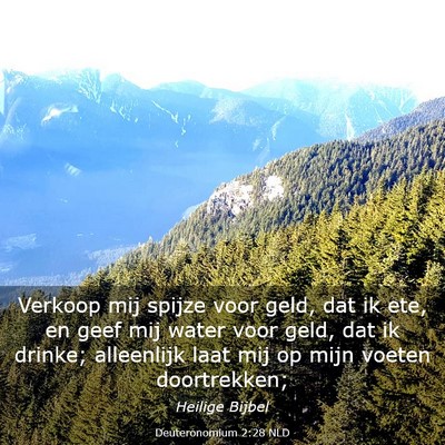 Picture 03 - Deuteronomium 2:28 NLD - Verkoop mij spijze voor geld, dat ik ete, en geef - Bible Verse Picture
