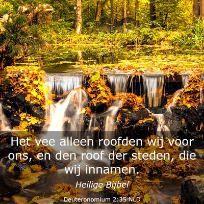 Picture 03 - Deuteronomium 2:35 NLD - Het vee alleen roofden wij voor ons, en den roof - Bible Verse Picture