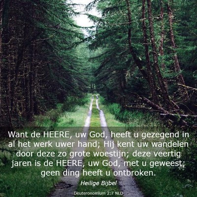 Picture 03 - Deuteronomium 2:7 NLD - Want de HEERE, uw God, heeft u gezegend in al het - Bible Verse Picture