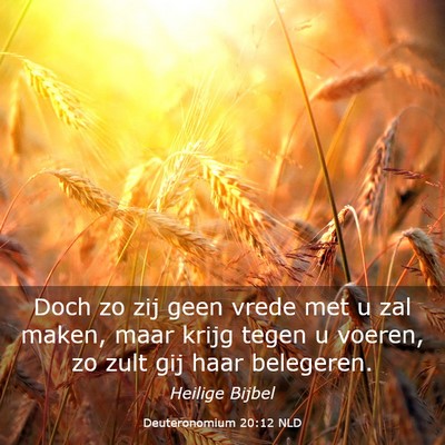 Picture 03 - Deuteronomium 20:12 NLD - Doch zo zij geen vrede met u zal maken, maar - Bible Verse Picture
