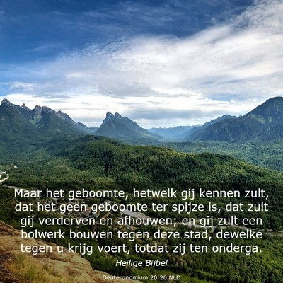 Picture 03 - Deuteronomium 20:20 NLD - Maar het geboomte, hetwelk gij kennen zult, dat - Bible Verse Picture