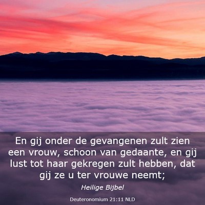 Picture 03 - Deuteronomium 21:11 NLD - En gij onder de gevangenen zult zien een vrouw, - Bible Verse Picture