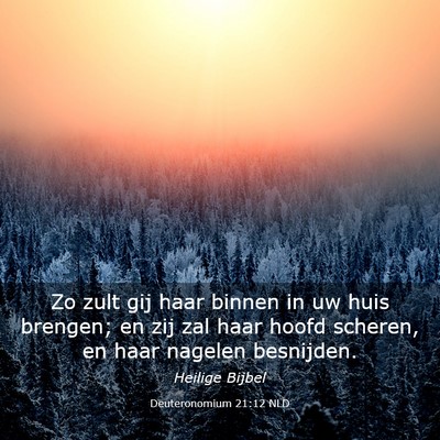 Picture 03 - Deuteronomium 21:12 NLD - Zo zult gij haar binnen in uw huis brengen; en - Bible Verse Picture