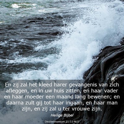 Picture 03 - Deuteronomium 21:13 NLD - En zij zal het kleed harer gevangenis van zich - Bible Verse Picture