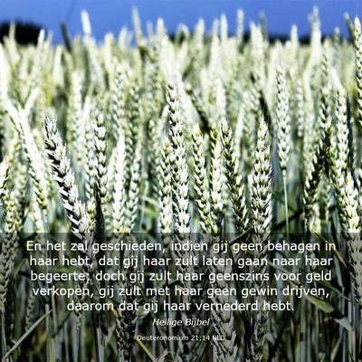 Picture 03 - Deuteronomium 21:14 NLD - En het zal geschieden, indien gij geen behagen in - Bible Verse Picture