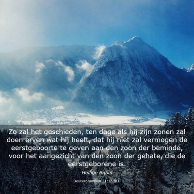 Picture 03 - Deuteronomium 21:16 NLD - Zo zal het geschieden, ten dage als hij zijn - Bible Verse Picture