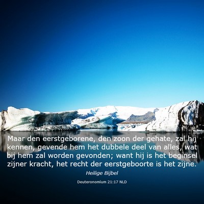 Picture 03 - Deuteronomium 21:17 NLD - Maar den eerstgeborene, den zoon der gehate, zal - Bible Verse Picture