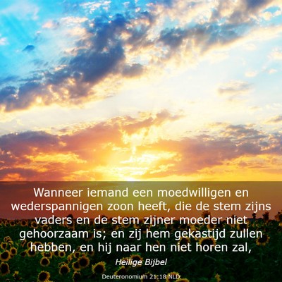 Picture 03 - Deuteronomium 21:18 NLD - Wanneer iemand een moedwilligen en wederspannigen - Bible Verse Picture