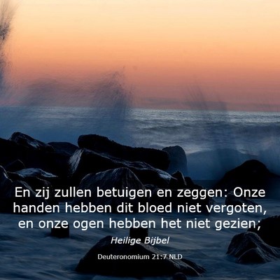 Picture 03 - Deuteronomium 21:7 NLD - En zij zullen betuigen en zeggen: Onze handen - Bible Verse Picture