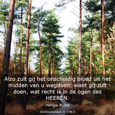Picture 03 - Deuteronomium 21:9 NLD - Alzo zult gij het onschuldig bloed uit het midden - Bible Verse Picture
