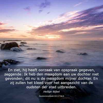 Picture 03 - Deuteronomium 22:17 NLD - En ziet, hij heeft oorzaak van opspraak gegeven, - Bible Verse Picture