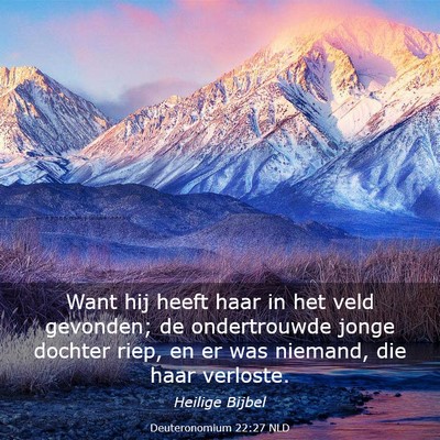 Picture 03 - Deuteronomium 22:27 NLD - Want hij heeft haar in het veld gevonden; de - Bible Verse Picture