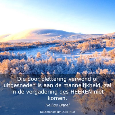 Picture 03 - Deuteronomium 23:1 NLD - Die door plettering verwond of uitgesneden is aan - Bible Verse Picture