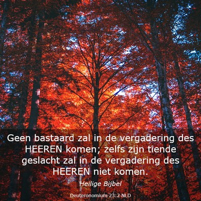 Picture 03 - Deuteronomium 23:2 NLD - Geen bastaard zal in de vergadering des HEEREN - Bible Verse Picture