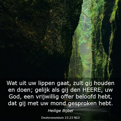 Picture 03 - Deuteronomium 23:23 NLD - Wat uit uw lippen gaat, zult gij houden en doen; - Bible Verse Picture