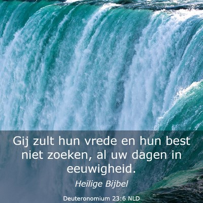 Picture 03 - Deuteronomium 23:6 NLD - Gij zult hun vrede en hun best niet zoeken, al uw - Bible Verse Picture