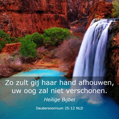 Picture 03 - Deuteronomium 25:12 NLD - Zo zult gij haar hand afhouwen, uw oog zal niet - Bible Verse Picture