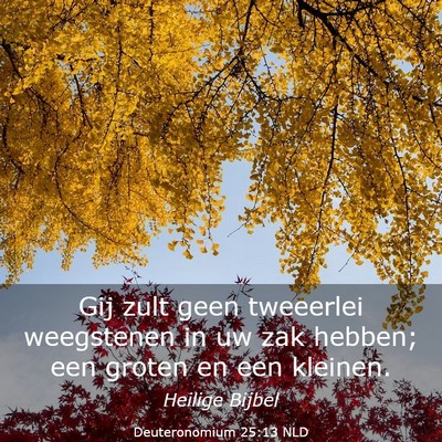 Picture 03 - Deuteronomium 25:13 NLD - Gij zult geen tweeerlei weegstenen in uw zak - Bible Verse Picture