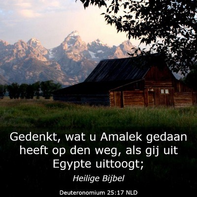 Picture 03 - Deuteronomium 25:17 NLD - Gedenkt, wat u Amalek gedaan heeft op den weg, - Bible Verse Picture