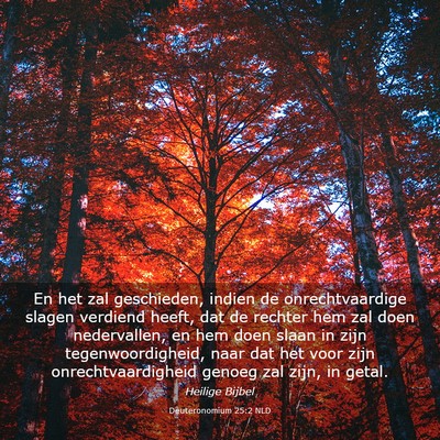 Picture 03 - Deuteronomium 25:2 NLD - En het zal geschieden, indien de onrechtvaardige - Bible Verse Picture