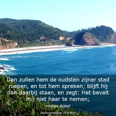 Picture 03 - Deuteronomium 25:8 NLD - Dan zullen hem de oudsten zijner stad roepen, en - Bible Verse Picture
