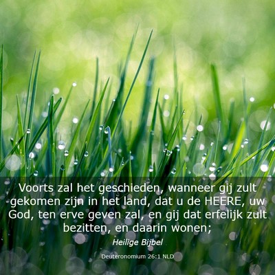 Picture 03 - Deuteronomium 26:1 NLD - Voorts zal het geschieden, wanneer gij zult - Bible Verse Picture