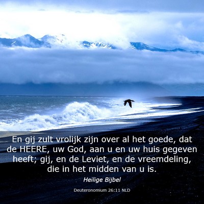 Picture 03 - Deuteronomium 26:11 NLD - En gij zult vrolijk zijn over al het goede, dat - Bible Verse Picture