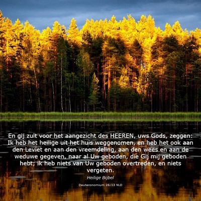 Picture 03 - Deuteronomium 26:13 NLD - En gij zult voor het aangezicht des HEEREN, uws - Bible Verse Picture