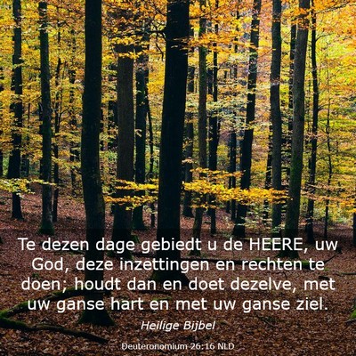Picture 03 - Deuteronomium 26:16 NLD - Te dezen dage gebiedt u de HEERE, uw God, deze - Bible Verse Picture