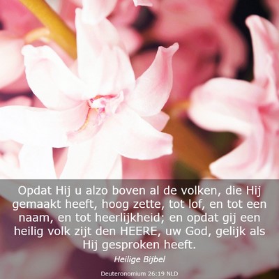 Picture 03 - Deuteronomium 26:19 NLD - Opdat Hij u alzo boven al de volken, die Hij - Bible Verse Picture