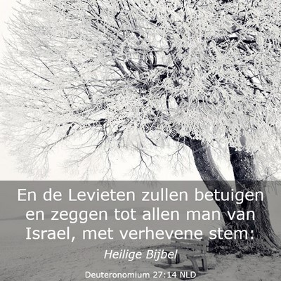 Picture 03 - Deuteronomium 27:14 NLD - En de Levieten zullen betuigen en zeggen tot - Bible Verse Picture