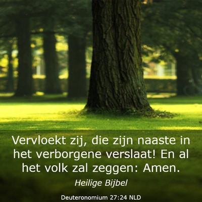 Picture 03 - Deuteronomium 27:24 NLD - Vervloekt zij, die zijn naaste in het verborgene - Bible Verse Picture