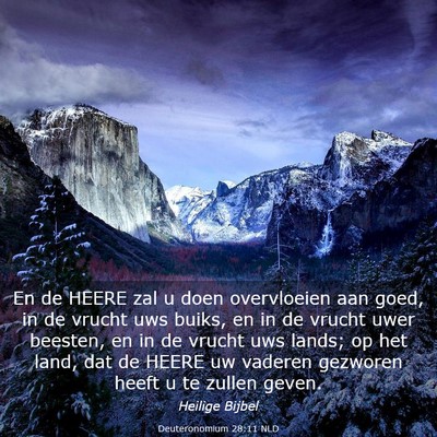 Picture 03 - Deuteronomium 28:11 NLD - En de HEERE zal u doen overvloeien aan goed, in - Bible Verse Picture