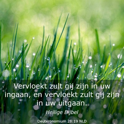 Picture 03 - Deuteronomium 28:19 NLD - Vervloekt zult gij zijn in uw ingaan, en - Bible Verse Picture