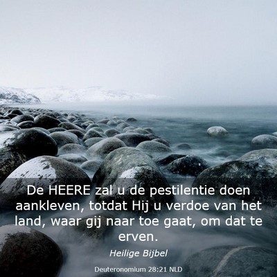 Picture 03 - Deuteronomium 28:21 NLD - De HEERE zal u de pestilentie doen aankleven, - Bible Verse Picture