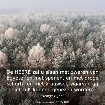 Picture 03 - Deuteronomium 28:27 NLD - De HEERE zal u slaan met zweren van Egypte, en - Bible Verse Picture